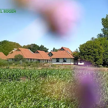 Jugendtours-feriendorf Ummanz Gingst