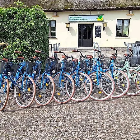 Jugendtours-feriendorf Ummanz 3*