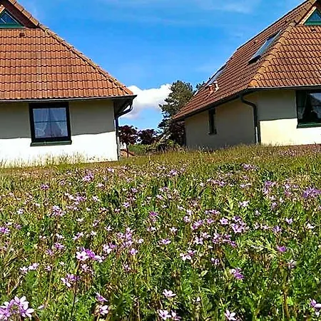 Jugendtours-feriendorf Ummanz