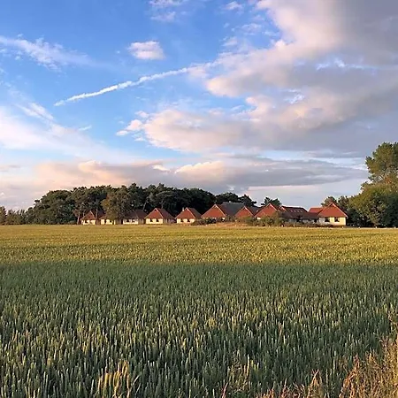 מלון Jugendtours-feriendorf Ummanz Gingst